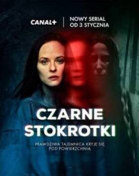 Странные Ангелы