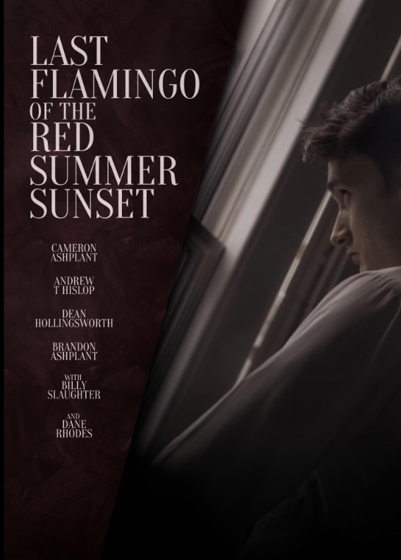 Последний фламинго красного летнего заката